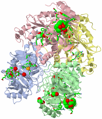 Image Asym./Biol. Unit - sites