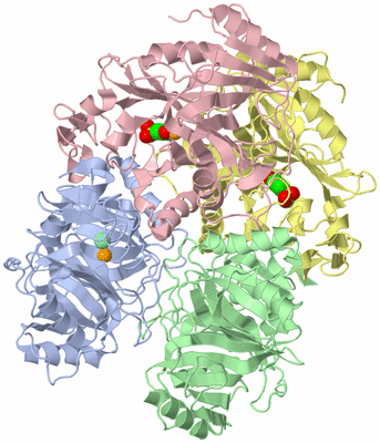 Image Asym./Biol. Unit