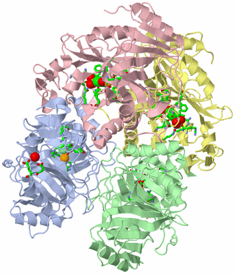 Image Asym./Biol. Unit - sites