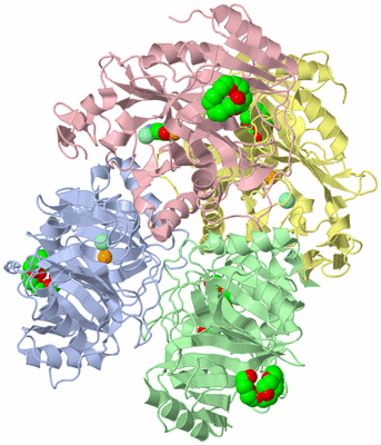 Image Asym./Biol. Unit