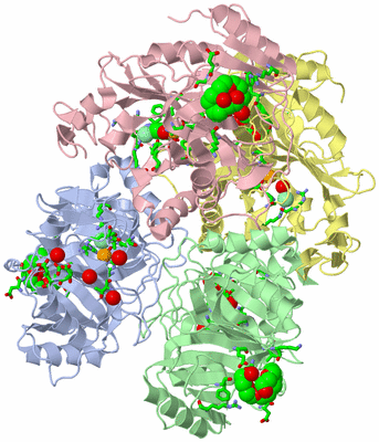 Image Asym./Biol. Unit - sites