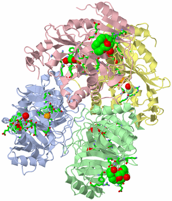 Image Asym./Biol. Unit - sites