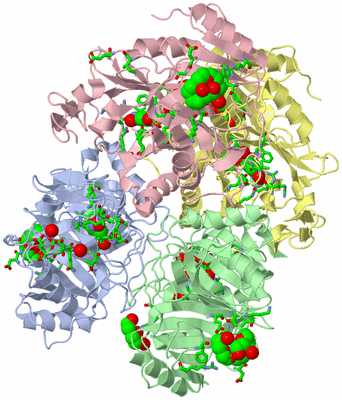 Image Asym./Biol. Unit - sites