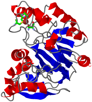 Image Asym. Unit - sites