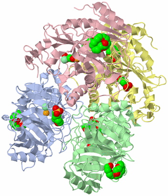 Image Asym./Biol. Unit