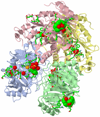 Image Asym./Biol. Unit - sites