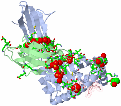 Image Biol. Unit 1 - sites