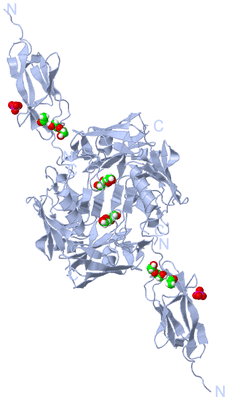 Image Biological Unit 2