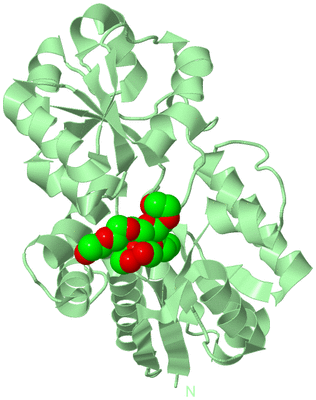 Image Biological Unit 2