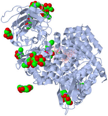 Image Biological Unit 1