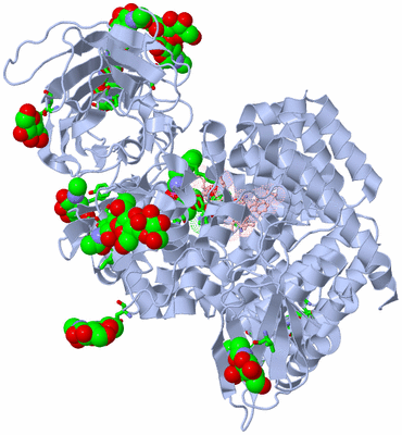 Image Biol. Unit 1 - sites