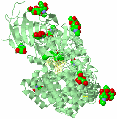 Image Biological Unit 2