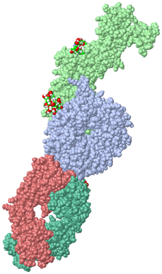 Image Biological Unit 1