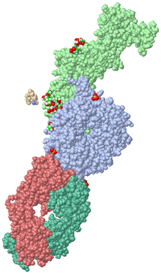 Image Biological Unit 1