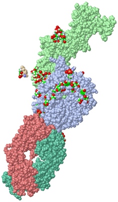 Image Biol. Unit 1 - sites