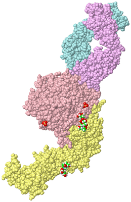 Image Biological Unit 2