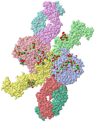 Image Asym. Unit - sites