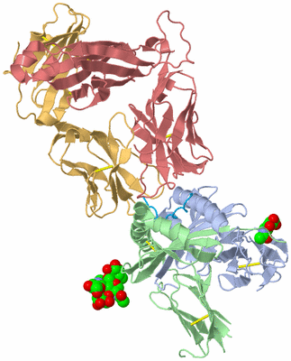 Image Biological Unit 1