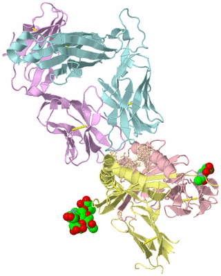 Image Biological Unit 2