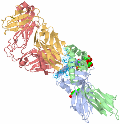 Image Biological Unit 1