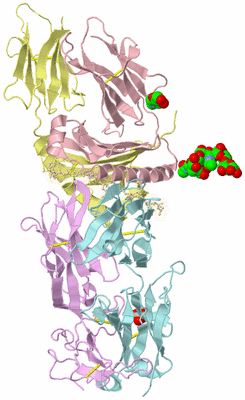 Image Biological Unit 2