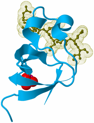 Image Biological Unit 10