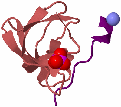 Image Biological Unit 11