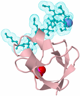 Image Biological Unit 3