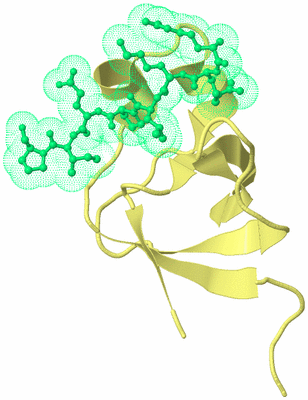 Image Biological Unit 4