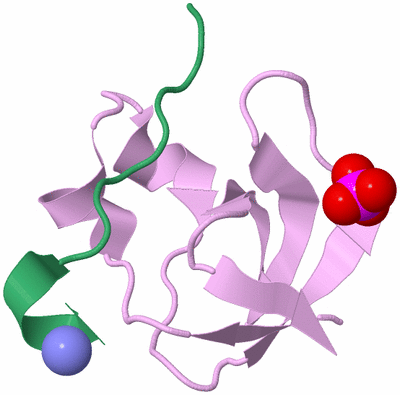 Image Biological Unit 5