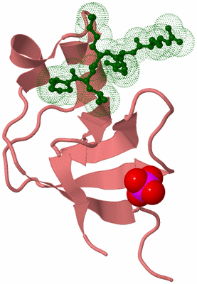 Image Biological Unit 8