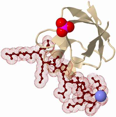 Image Biological Unit 9