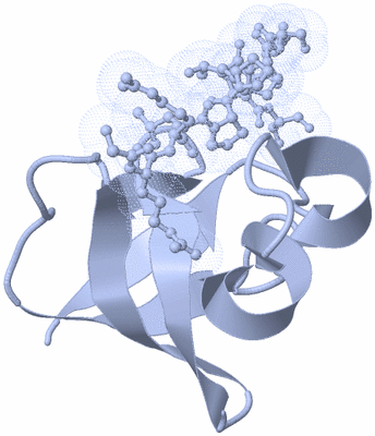 Image Biological Unit 1