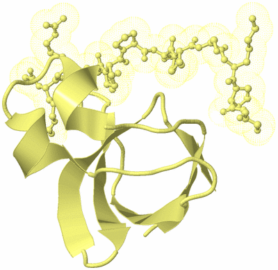 Image Biological Unit 4