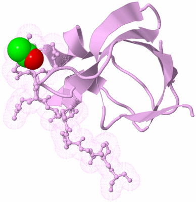 Image Biological Unit 5