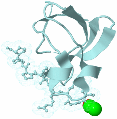 Image Biological Unit 6