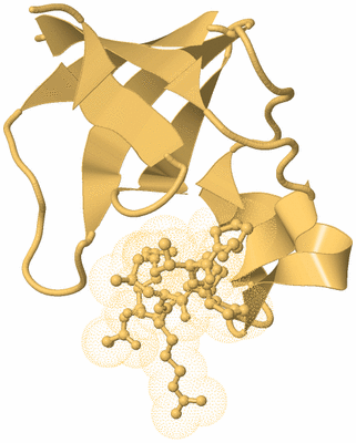 Image Biological Unit 7