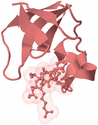 Image Biological Unit 8