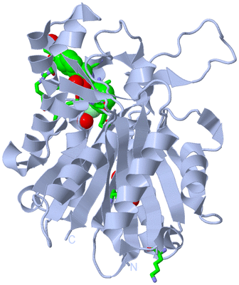 Image Biol. Unit 1 - sites