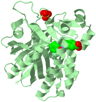 Image Biological Unit 2