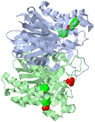 Image Biological Unit 3