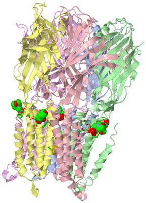 Image Biol. Unit 1 - sites