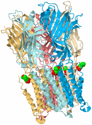 Image Biological Unit 2