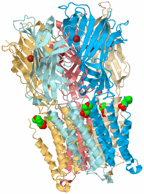 Image Biological Unit 2