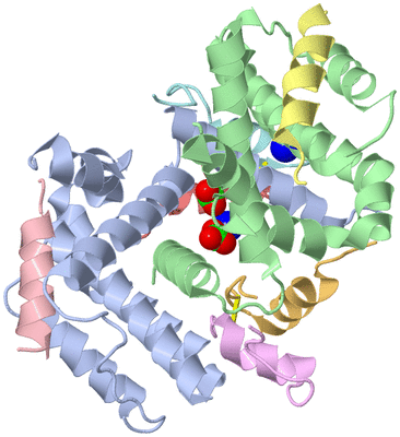 Image Asym./Biol. Unit