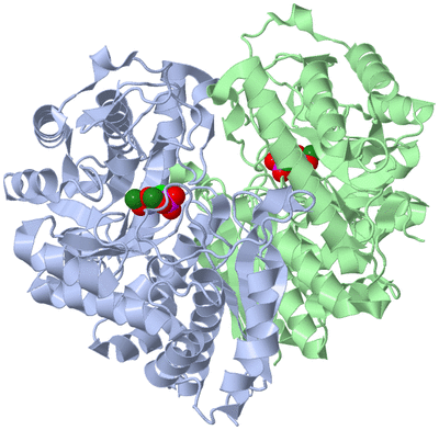 Image Asym./Biol. Unit