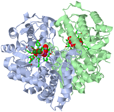 Image Asym./Biol. Unit - sites