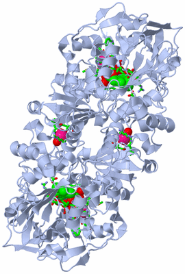 Image Biol. Unit 1 - sites