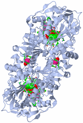 Image Biol. Unit 1 - sites