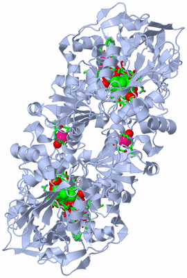 Image Biol. Unit 1 - sites